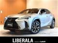 2019 Lexus UX