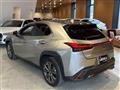 2019 Lexus UX