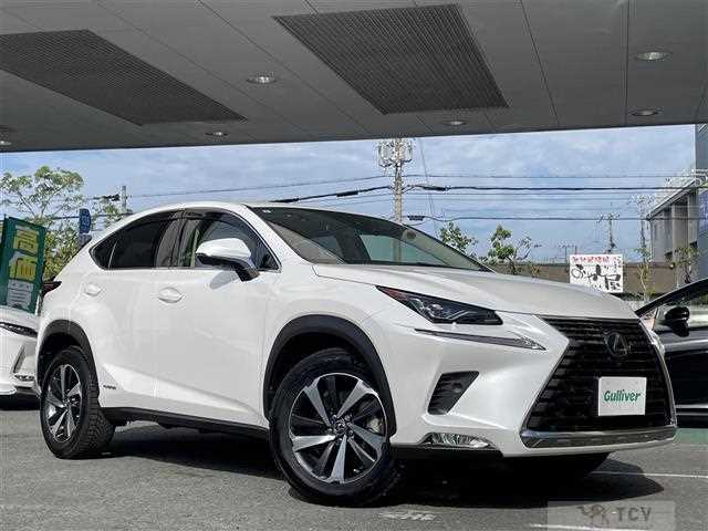 2019 Lexus NX