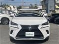 2019 Lexus NX