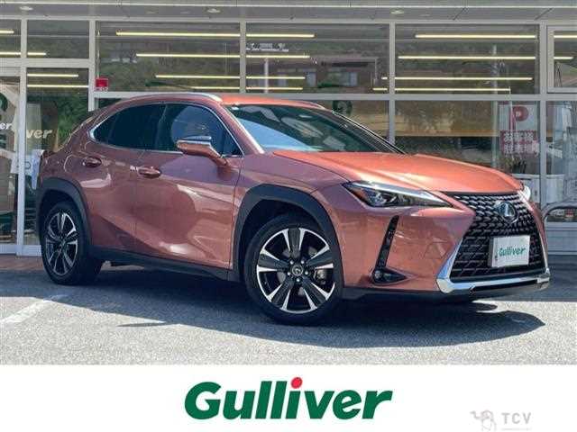 2024 Lexus UX