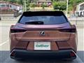 2024 Lexus UX