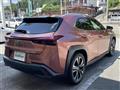2024 Lexus UX