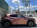 2024 Lexus UX