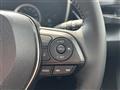 2019 Toyota Corolla Sports