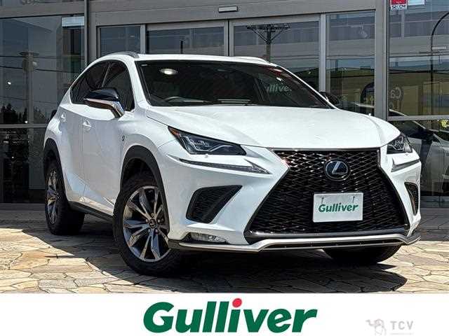 2018 Lexus NX