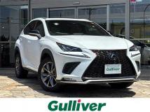 2018 Lexus NX