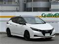2024 Nissan Leaf
