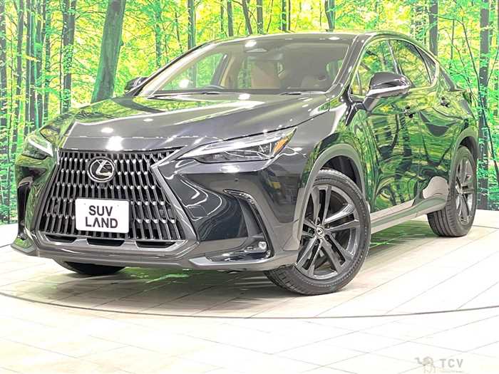 2023 Lexus NX
