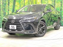 2023 Lexus NX
