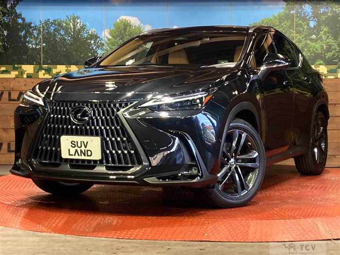 2023 Lexus NX