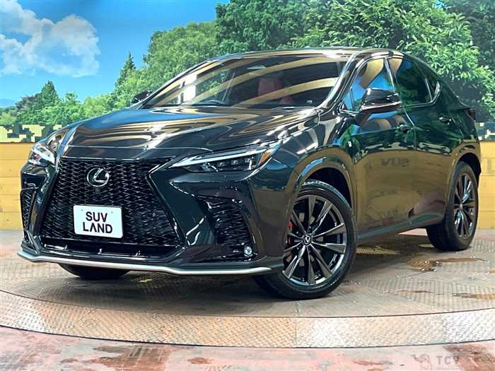 2023 Lexus NX