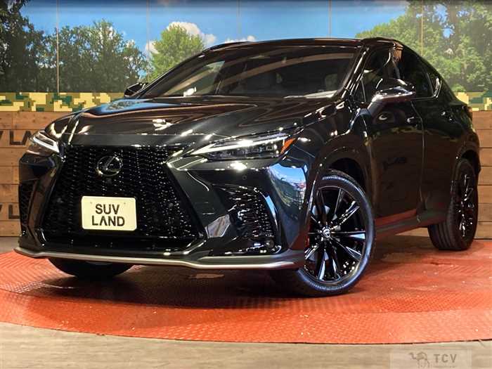 2024 Lexus NX