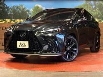 2024 Lexus NX