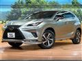 2021 Lexus NX