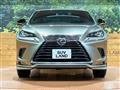 2021 Lexus NX