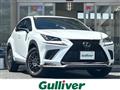 2021 Lexus NX