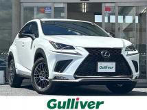 2021 Lexus NX