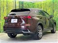 2019 Lexus NX
