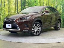 2019 Lexus NX