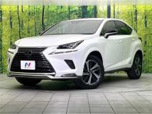 2020 Lexus NX