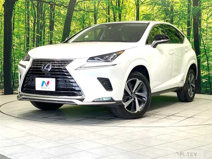 2021 Lexus NX