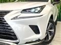 2021 Lexus NX