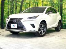 2021 Lexus NX