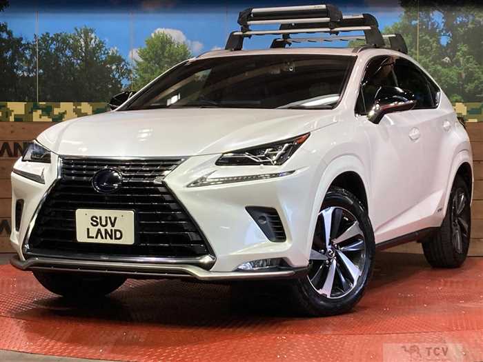 2021 Lexus NX