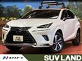 2021 Lexus NX