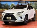 2021 Lexus NX