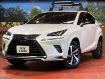 2021 Lexus NX