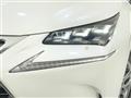 2014 Lexus NX