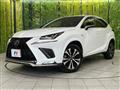 2019 Lexus NX