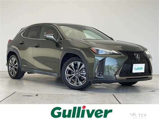 2020 Lexus UX