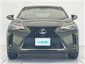 2020 Lexus UX