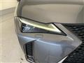 2019 Lexus UX