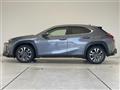 2019 Lexus UX