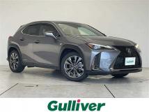 2019 Lexus UX