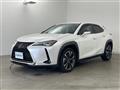 2020 Lexus UX