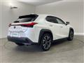 2020 Lexus UX