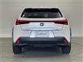 2020 Lexus UX