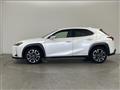 2020 Lexus UX