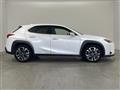 2020 Lexus UX