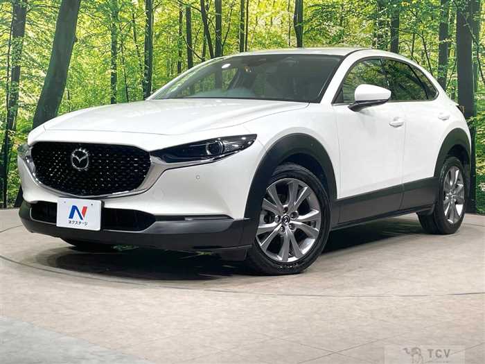 2019 Mazda Mazda Others