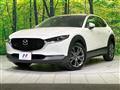 2019 Mazda Mazda Others