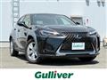 2021 Lexus UX