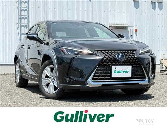 2021 Lexus UX