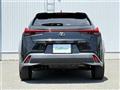 2021 Lexus UX