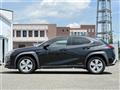 2021 Lexus UX